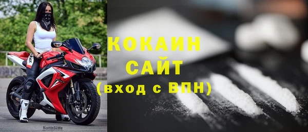 шишки Верея