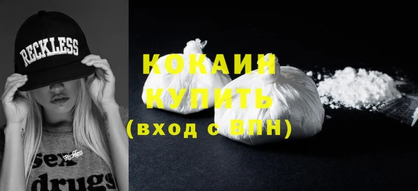 шишки Верея