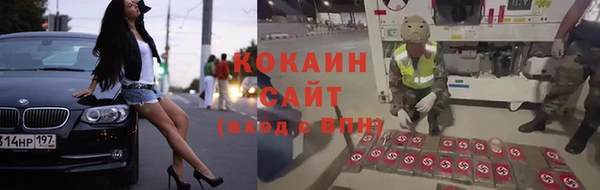 шишки Верея