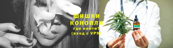 шишки Верея