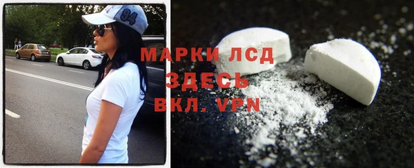 шишки Верея