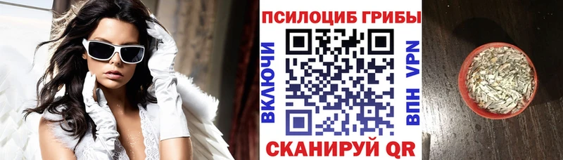 Галлюциногенные грибы GOLDEN TEACHER купить Жуковка